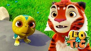 Leo and Tig  Episode 18 - New animated movie - Kedoo ToonsTV