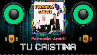  TU CRISTINA  Formatia Amicii //   Muzică de Petrecere