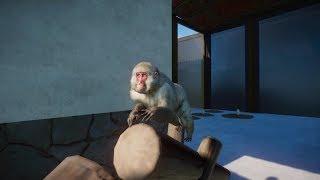 Planet Zoo (PC)(English) #58 6 Minutes of Japanese Macaque