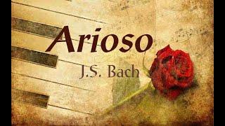 Arioso (J. S. Bach) - arr. Alfred Cortot || Piano Lena Hwang