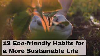 12 Eco friendly Habits for a More Sustainable Life