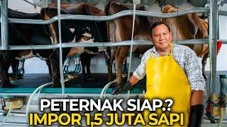 Begini Program Prabowo Berbagi Susu Gratis! Begini Proses Kerja Peternakan Hewan Penghasil Susu