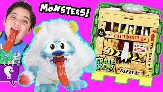 CRATE CREATURES Toy Review and GAME PLAY with Fuzzy MONSTERS by HobbyKidsTV