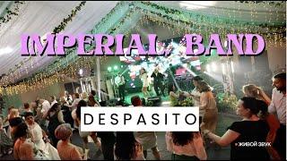 Кавер группа Imperial Band Москва| Despasito| Живой звук