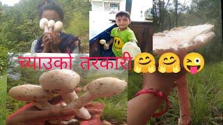 च्याउको तरकाली #mushrum lover