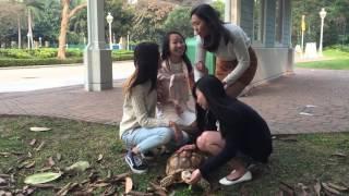 LifePlanet, HKUSU session 2016-2017 promotion video