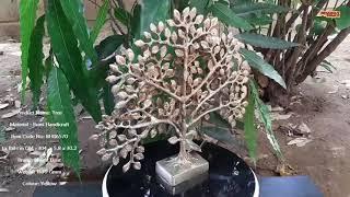 BHARAT HAAT Brass Tree kalpvriksh Showpieces Handicrafts Art