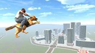 Flying Dog in Indian Bike Driving 3D ? Mythbusters #136