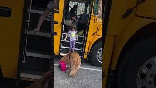 Golden Picks Up His Little Girl From The Bus Stop Every Day | The Dodo