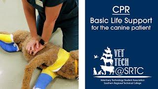 CPR-Basic Life Support