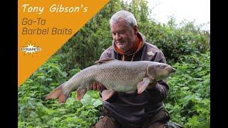 Tony Gibson's Go-To Barbel Baits