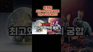 토끼띠 최고 vs 최악의 궁합은?#shorts