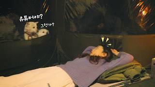 귀여운 보디가드 멍멍이들과 솔로 캠핑｜바람을 피해 찾아 간 봉화 각화산 캠핑장｜골뱅이 무침｜치즈 감자전｜