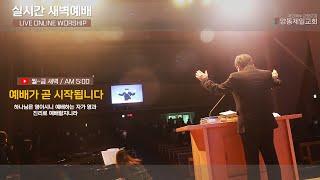 양동제일교회 2024.12.13 새벽예배 [예배실황]