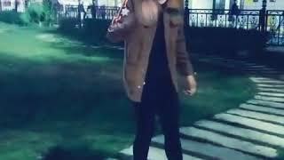 أنمار العراقي