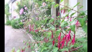 Chédigny village jardin en été