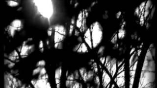 DEAFEAR "the waiting"