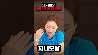 돼지띠가 가지고 있는 평생운과 말년운은? #돼지띠 #하반기운세 #2024년운세#운세 #사주