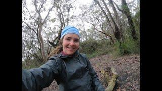 Great North Walk Solo. Patonga - Ourimbah Creek road.