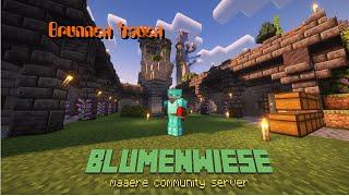 Minecraft - Maaere Blumenwiese - Brunnen bauen und weitere Planung