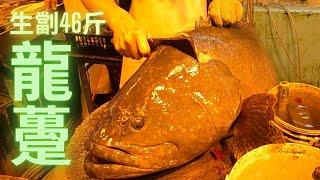 生劏46斤野生龍躉,好耐冇食過,生炆龍躉翅,皮爽油香超級美味~fish cutting 香港海鮮~社長遊街市(Hong Kong Seafood Market)