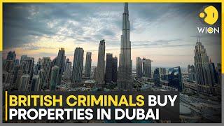 ‘Dubai Unlocked’ data leak: How dirty money finds a home in Dubai real estate? | WION