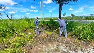 Join us in cleaning up over 1km of sidewalk overtaken by weeds | Clean Up Lawn