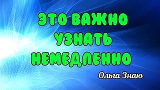 ‼️ О ЧЕМ ТЕБЕ ВАЖНО ЗНАТЬ СЕЙЧАС ‼️