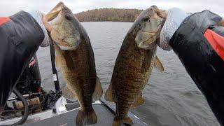 BROWN or GREEN? Late FALL SPINNERBAIT Tips For BIG BASS!!