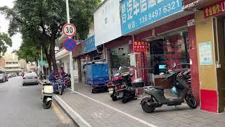 中国深圳光明区街景 2024年2月 Street scene in Guangming District, Shenzhen, China, February 2024