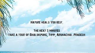 Trip4Soul Ep1/Exotic Arunachal/Tippi/Orchid Park/Roadside Ethnic Kitchen