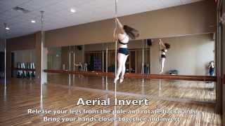 Advanced Spinning Pole Combo Tutorial & Flexibility Tips - Allison Sipes