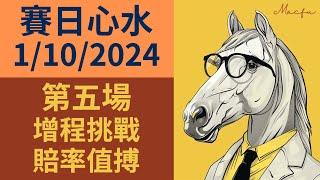 【賽日心水】沙田草地 (10月1日)｜R5 增程挑戰 賠率值搏｜馬師傅 Macfu