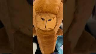 Как вам этот Бобр ? #смешно #игрушка #дети #бобры