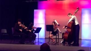 WHS Chamber Orchestra