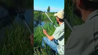 Рыбацкие будни. Мысли вслух. #carp #fishing #fish #природа #carpfishing #рыбалка #рыба