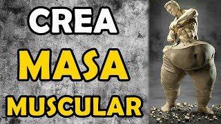 RUTINA PARA CREAR UNA SÓLIDA BASE DE MASA MUSCULAR | IDEAL PARA PRINCIPIANTES