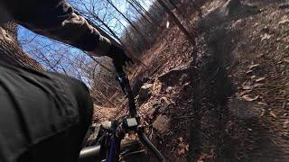 Graham Hills Red Trail on a hardtail. Almost set PR until I crashed at the last corner :(