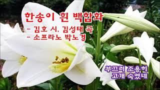 한송이 흰 백합화-김호  시,김성태 곡-소프라노 박노경