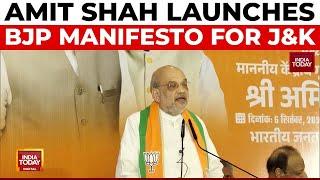 Home Minister Amit Shah Unveils BJP's 25-Point Manifesto for J&K Polls