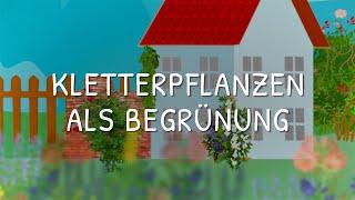 Kletterpflanzen als Begrünung