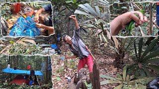 5 HARI DALAM HUTAN MIKAT BURUNG CUCAK IJO DAPAT ANAKAN PROSPEK SUPER BABON