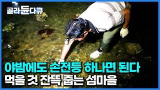 야밤에 조명 하나로 먹을 것 쓸어담는 섬마을. 한번 들어오면 재밌어서 못 나간다는 이유 ｜한국기행｜#골라듄다큐
