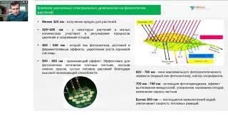 Вебинар Алексея Волкова  «Установка «ФОТОН». Изучение влияния спектра освещения на рост растений»