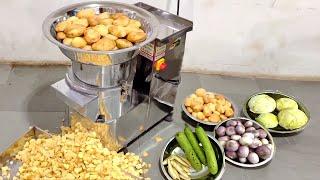 1 घंटे में काटे 700 Kg सब्जी | Vegetable Cutter Machine | Commercial Vegetable Cutting Machine