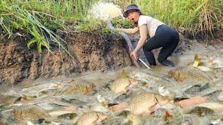 Using a pump to suck water out of the deep pool, the girl caught many big fish and sold them.