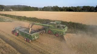 Harvest Log Day 5