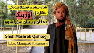 Shoh mashrab qishlog’idagi jangalbog’ uzbek dehqonlari bilan suxbat || Uzbek TV