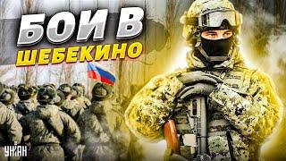 Ополченцы зашли в пригород Шебекино, выгнав оттуда войска Путина: кадры боев