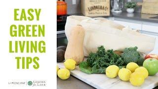 Easy Eco-Friendly & Green Living Tips | Home + Lifestyle With Limoneira